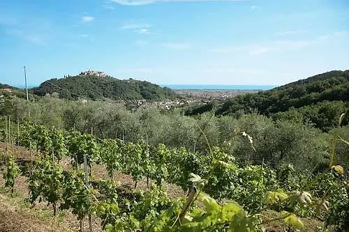 La Sarticola Villa Luni